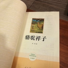 中小学新版教材（部编版）配套课外阅读 名著阅读课程化丛书 骆驼祥子