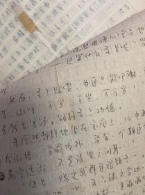 手稿一份，长篇宫廷历史小说，正德皇帝全传，浪游天子，存10章，一份