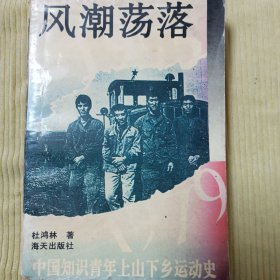 风潮荡落（中国知识青年上山下乡运动史）