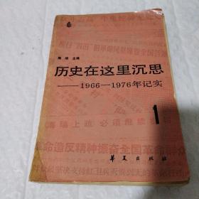 历史在这里沉思—1966至1976年记实