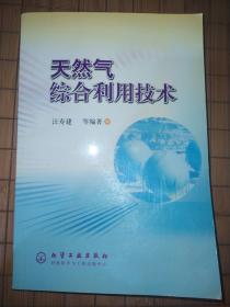 天然气综合利用技术