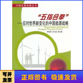 “五指合拳”:應(yīng)對世界新變化的中國能源戰(zhàn)略