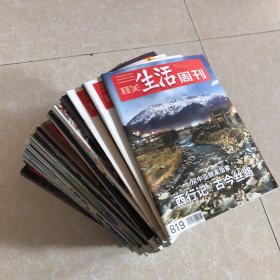 三联生活周刊 茶之道 2015年全1-52缺第11、20、32、44、45、46、48、49期（共42本 44期合售）有两本是合刊