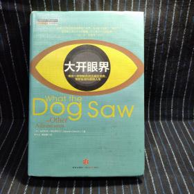 大开眼界：用另一双眼睛看透这疯狂世界、奇妙生活和美丽人生