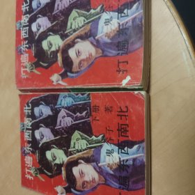 打遍东西南北.下册