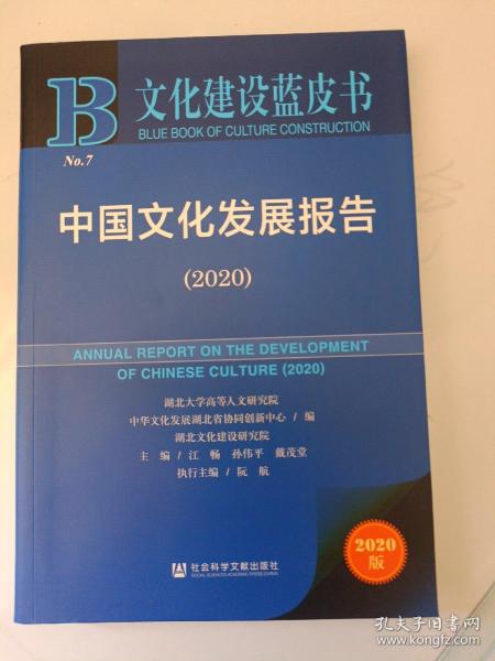 文化建设蓝皮书：中国文化发展报告（2020）