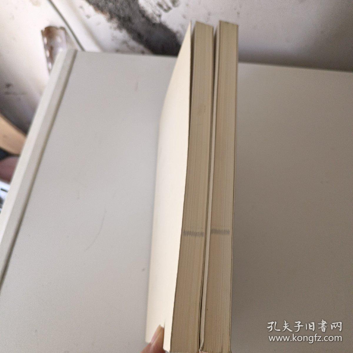 辛巳印存（上、下）