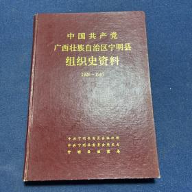 中国共产党广西壮族自治区宁明县组织史资料(1926-1987)