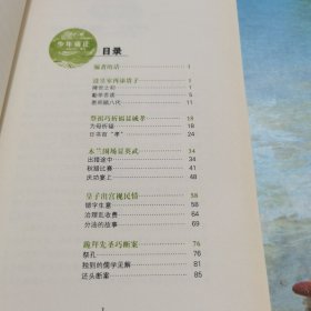 少年天子系列:少年雍正