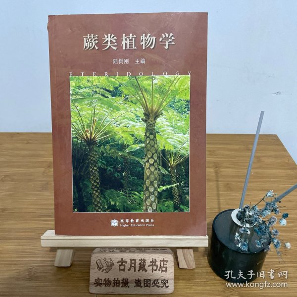 蕨类植物学