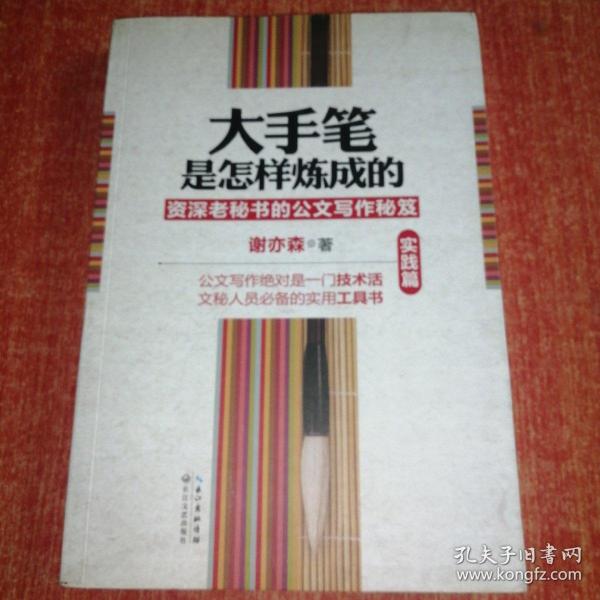 大手笔是怎样炼成的（实践篇）：资深老秘书的写作秘笈