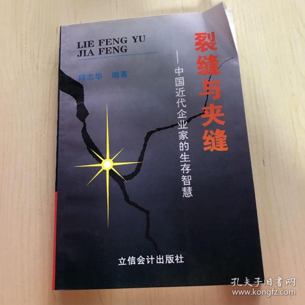 裂缝与夹缝:中国近代企业家的生存智慧