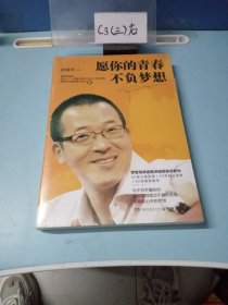 愿你的青春不负梦想（全新未拆封）