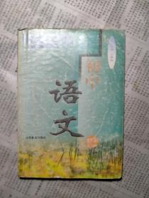 中小学大面积提高教学质量教学指导书-初中语文第六册