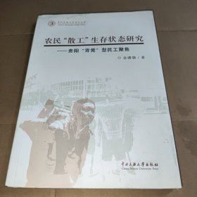 中国“散工”生存状态研究