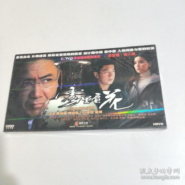大型电视连续剧 雾里看花