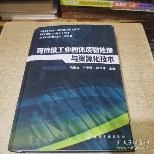 可持续工业固体废物处理与资源化技术