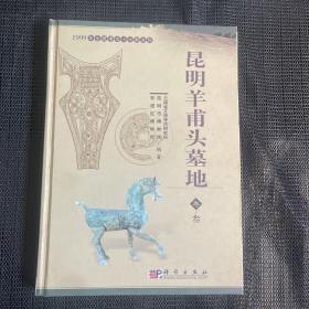 昆明羊甫头墓地（卷3）