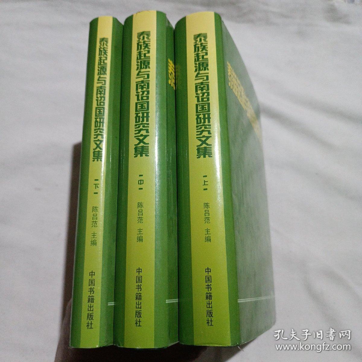 泰族起源与南诏国研究文集 上中下(3册全套合售)