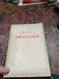 苏联社会主义经济问题