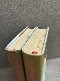 大亚湾核电站系统及运行.上中册