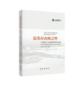 追光在山海之外——上海电气人的海外项目故事