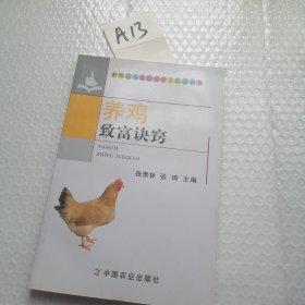 养鸡致富诀窍