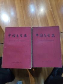 中国文学史（全两册）