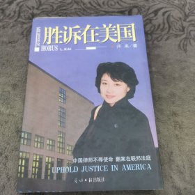 中国律师不辱使命，翻案在联绑法庭