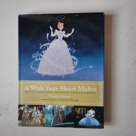 A Wish Your Heart Makes 电影设定集大画册