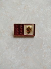 生的伟大死的光荣刘胡兰像章1号盒子19号（详情看图（
