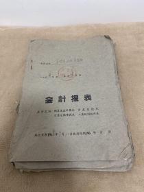 1960年 阜南县朱砦乡  会计报表【8本】