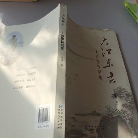 大江东去 : 丁济康诗词集
