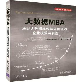 大数据MBA 通过大数据实现与分析驱动企业决策与转型/大数据应用与技术丛书