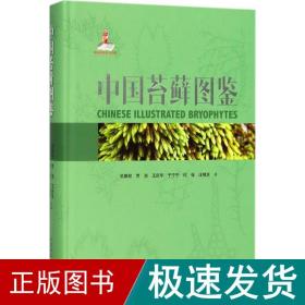 中国苔藓图鉴(精)