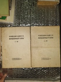 中共党史和马克思主义党的建设理论学习讲座（上下）上册黄斑严重如图