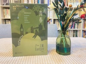 青春（诺贝尔文学奖得主库切自传体小说）