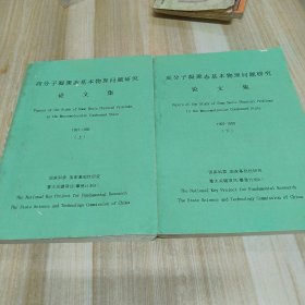 高分子凝聚态基本物理问题研究论文集 上下册1997——1998