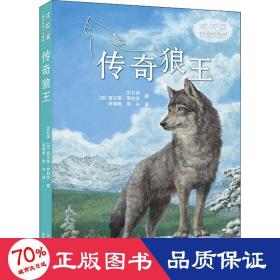 沈石溪世界动物小说典藏传奇狼王
