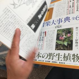 山野草药  创刊号  大量彩页介绍山中草药   日文版