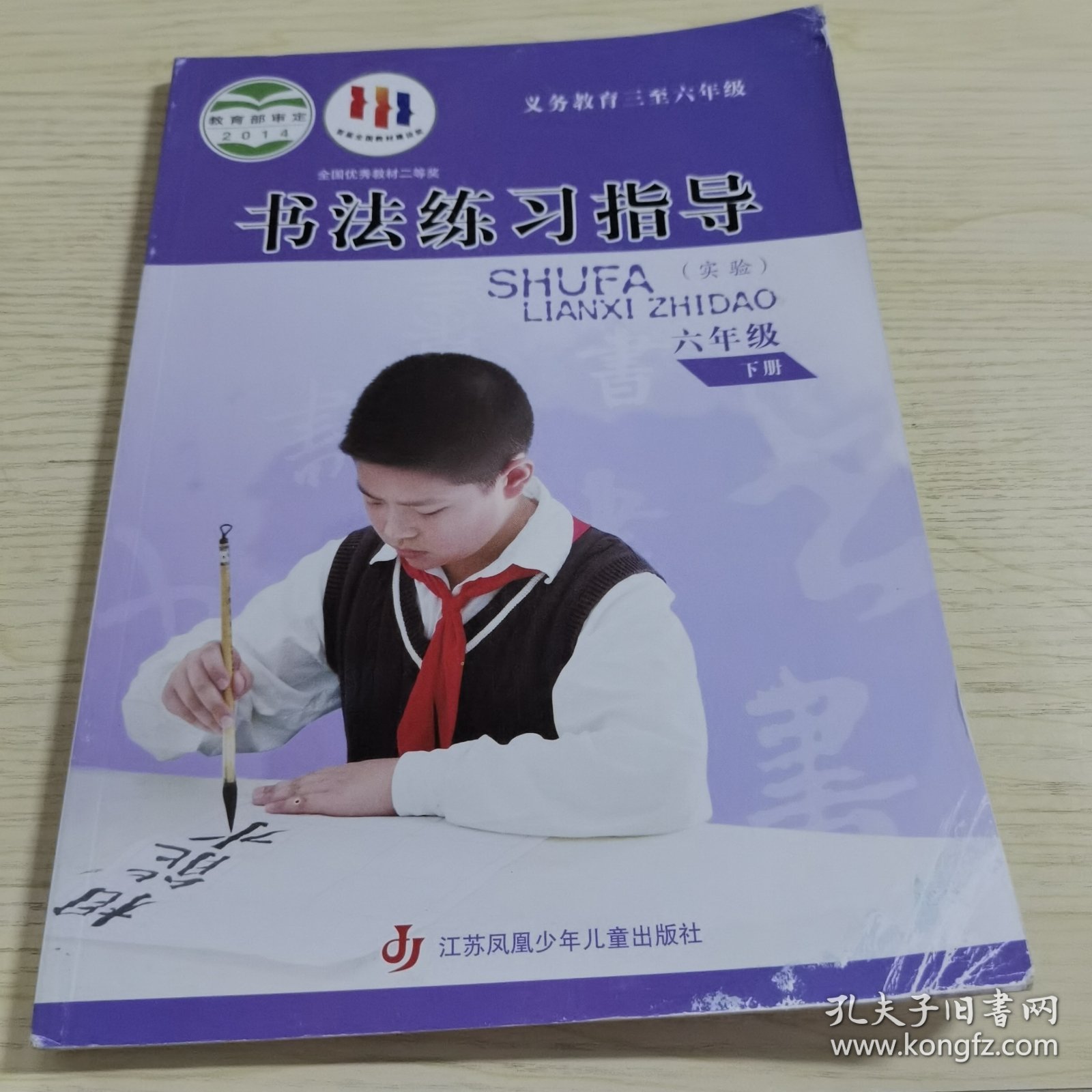 书法练习指导. 小学六年级. 下册