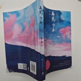 再见，少年
