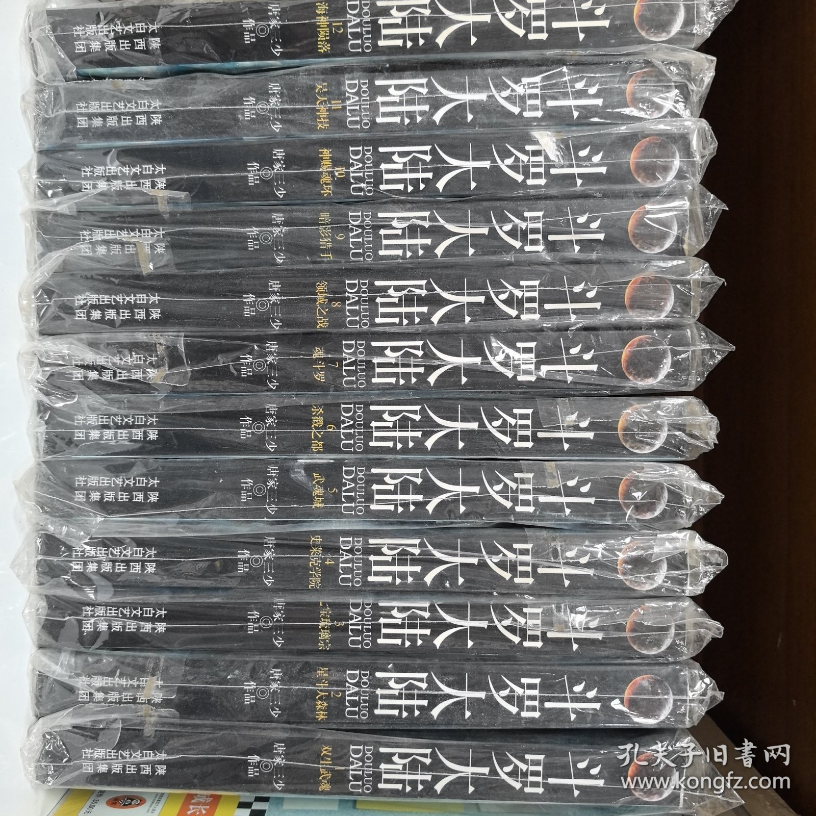 斗罗大陆（全12册）