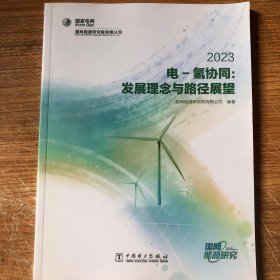 电-氢协同：发展理念与路径展望 2023