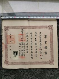 1951年 毕业证书 上海市私立震旦大学附属中学学 校长  胡文耀  品相尺寸如图