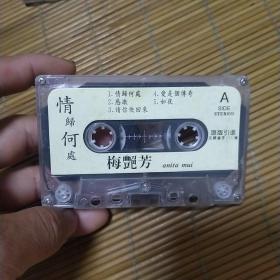 梅艳芳（裸带）