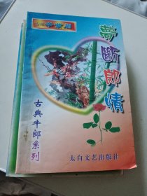 古典牛郎系列梦断郎情，台湾辛紫眉著32开174页言情小说