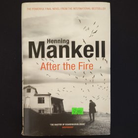 After The Fire
