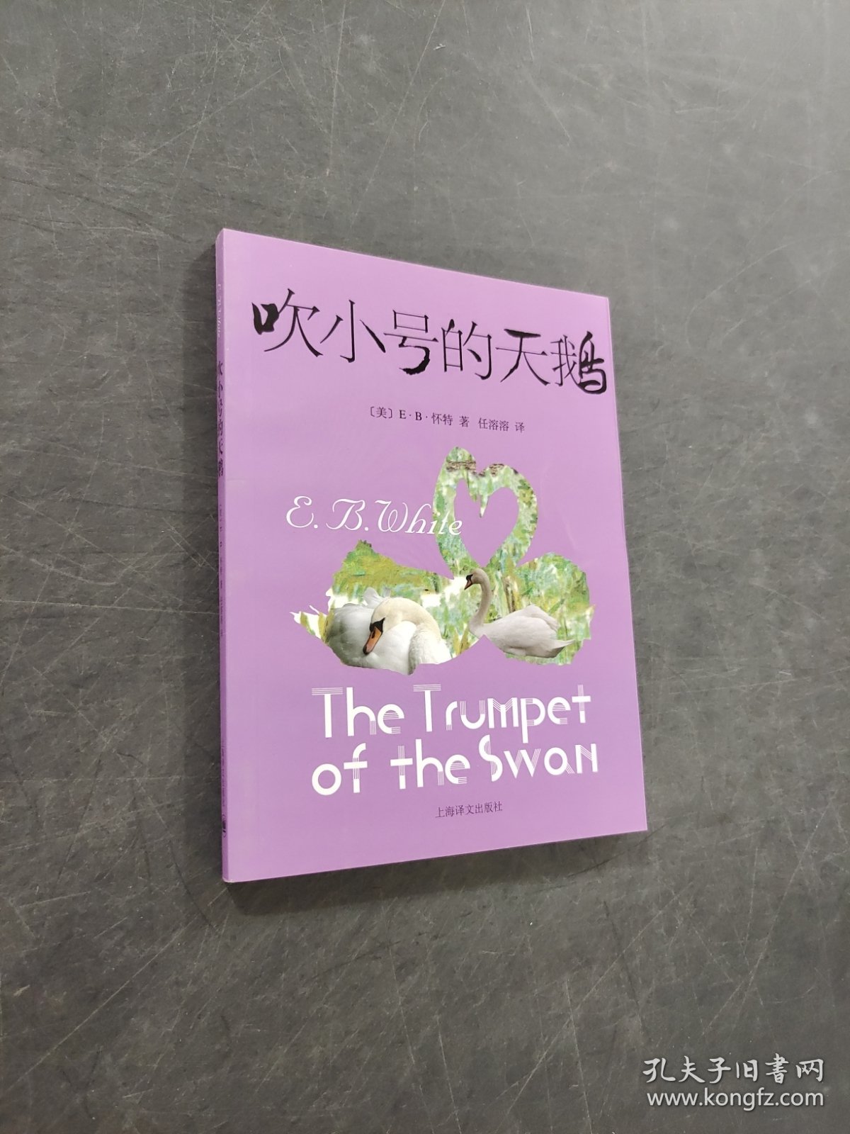 吹小号的天鹅