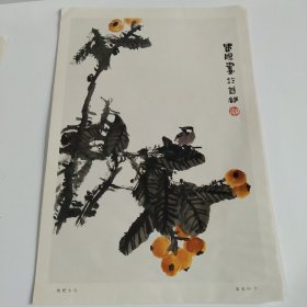 七八十年代8开老画一张印刷品，霍春阳（枇杷小鸟）